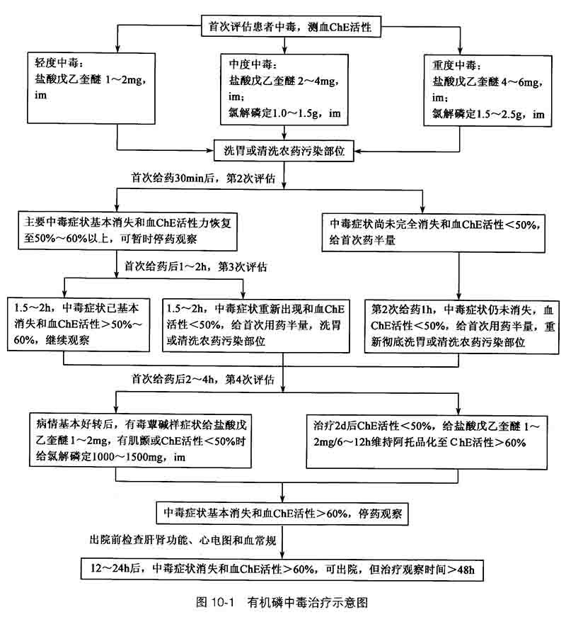 有机磷中毒治疗示意图